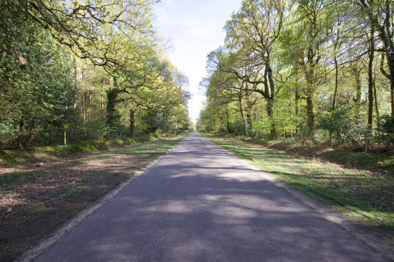 Avondale New Forest Godshill  Zewnętrze zdjęcie