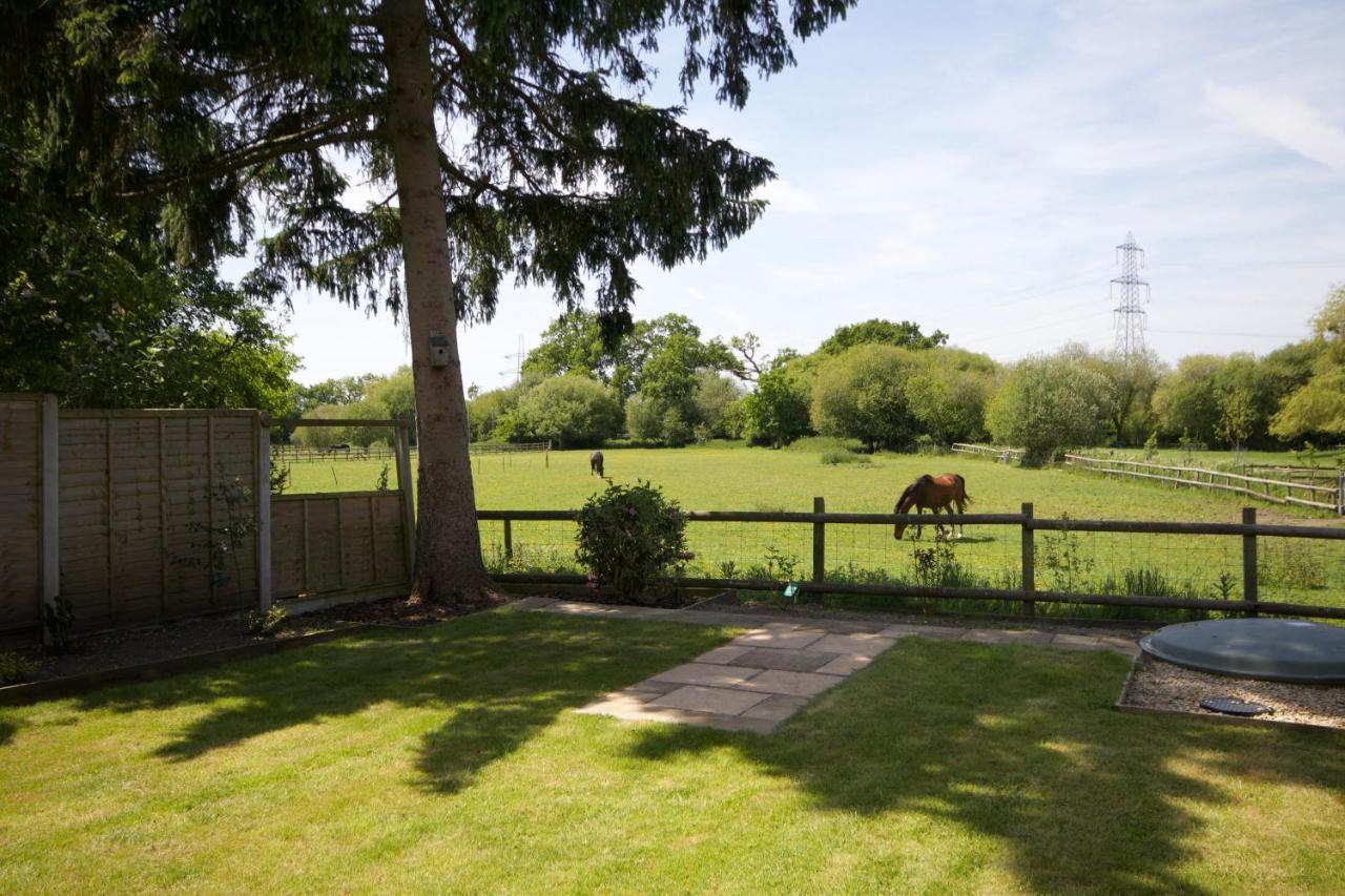 Avondale New Forest Godshill  Zewnętrze zdjęcie