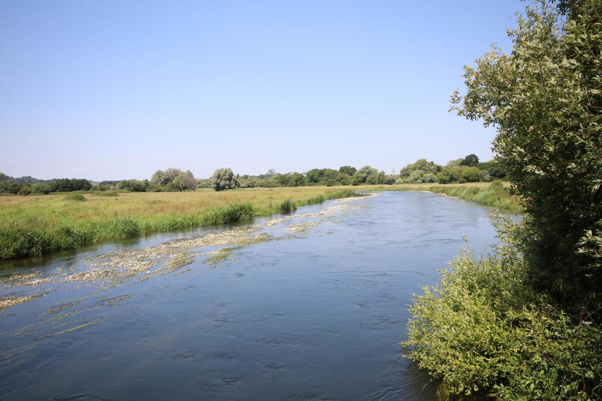 Avondale New Forest Godshill  Zewnętrze zdjęcie