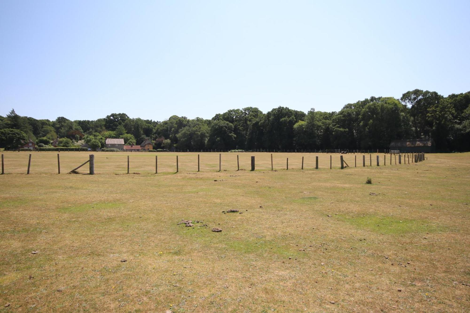 Avondale New Forest Godshill  Zewnętrze zdjęcie